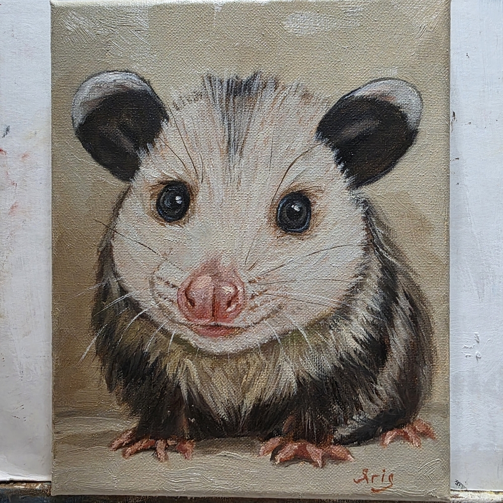 Abstract oil Painting cute Possum